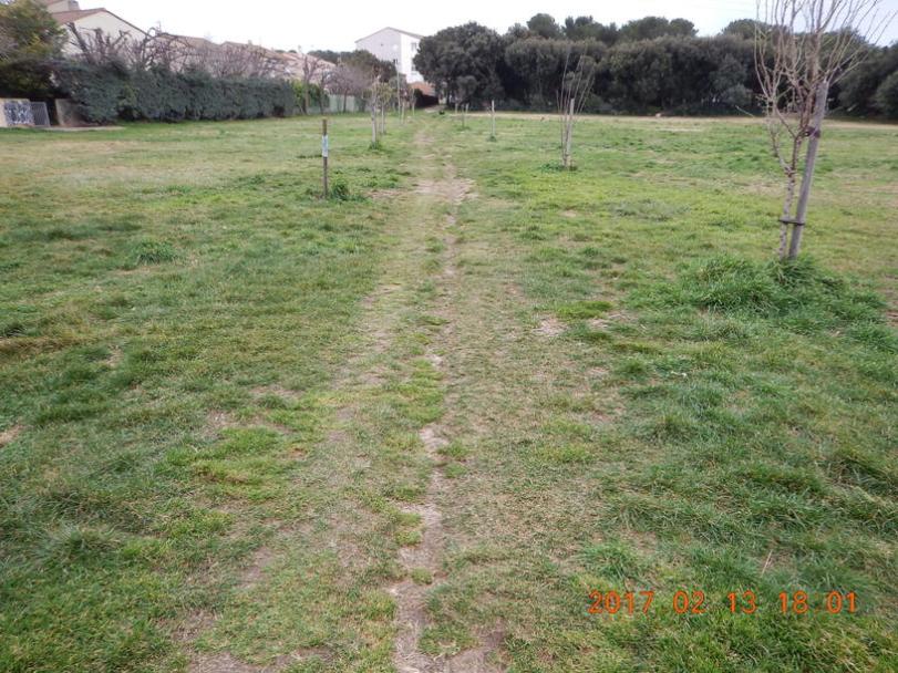 ligne-desir-guelfucci